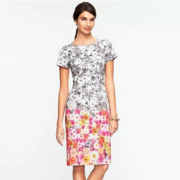 Talbots Dresses & Skirts - NWOT Talbots Cotton Floral Pink & Grey Ombré dress